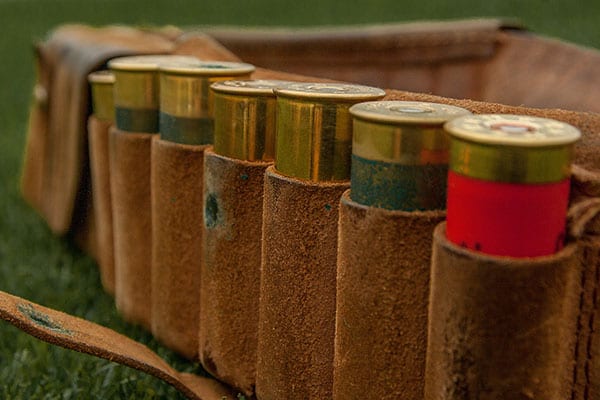 Shotgun cartridges in a belt