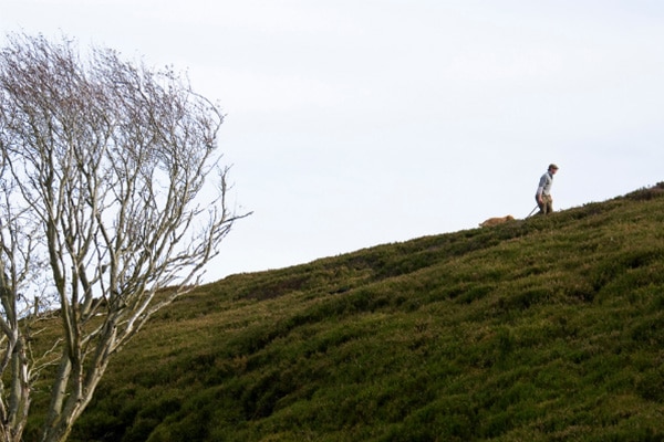 Man walking dog up on a hill