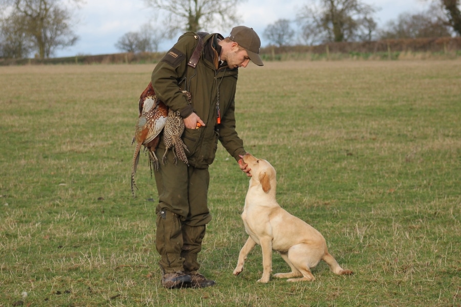 A game shooter and a gundog