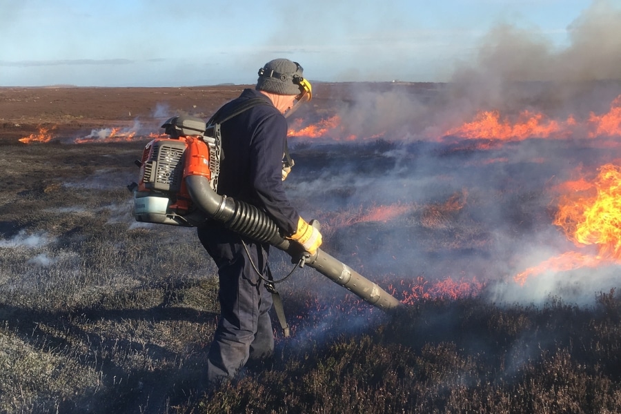 A controlled burn