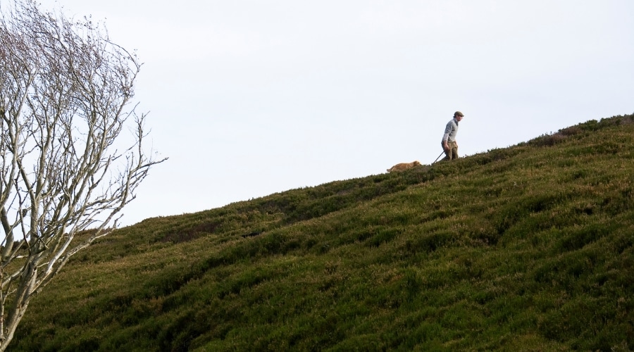 A shooter walking their gundog