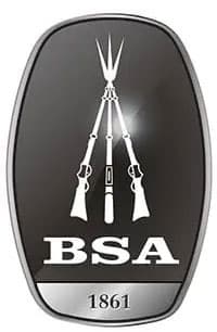 BSA logo