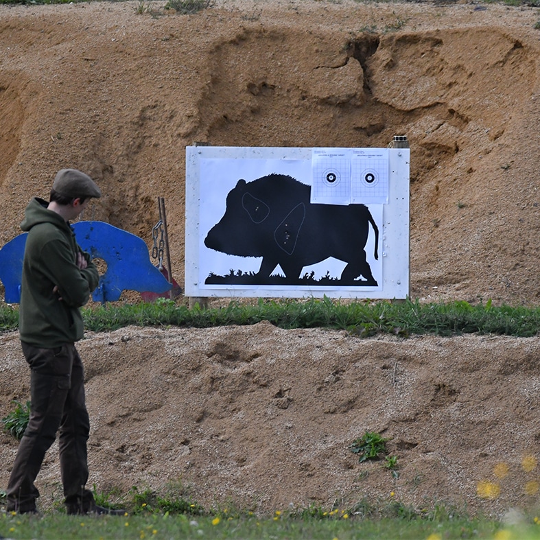 A boar target