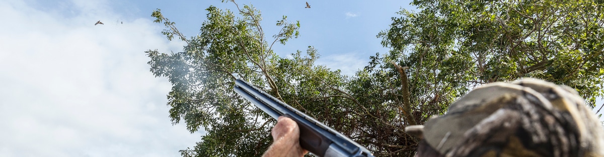 Game shooter