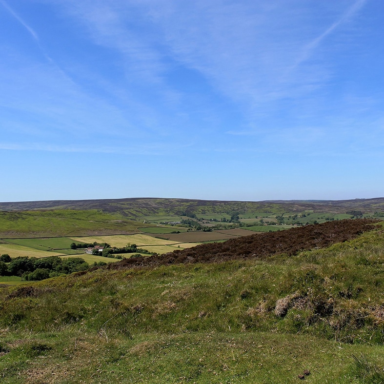 The Yorkshire moors