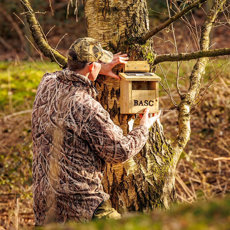 BASC Bird box being installed