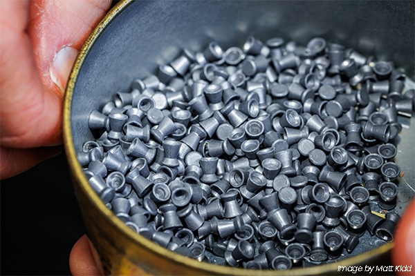 Air rifle pellets