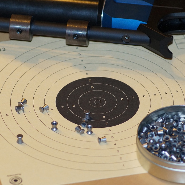 An airgun target
