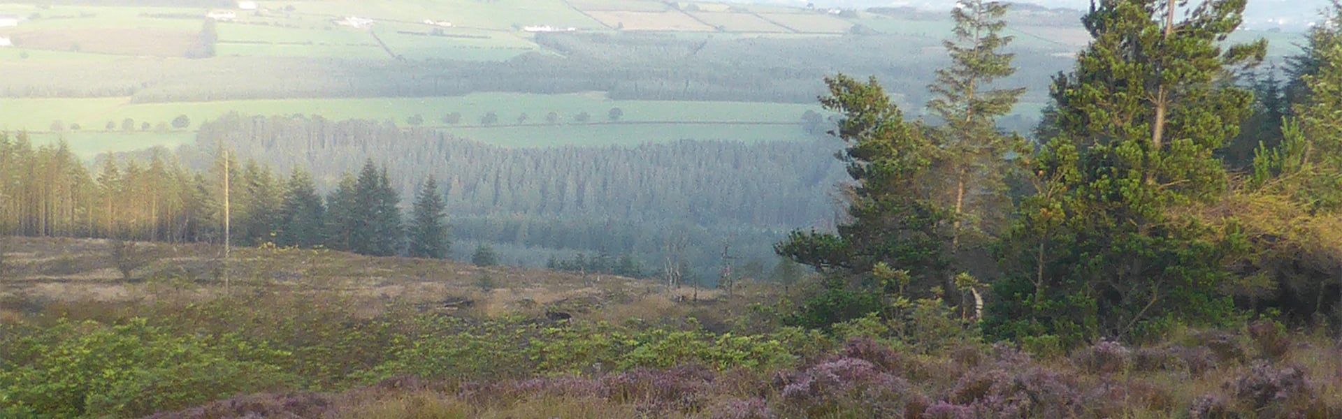 Baronscourt landscape