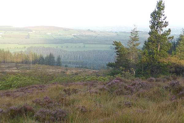 Baronscourt landscape