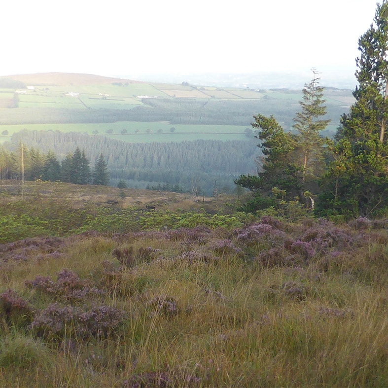 Baronscourt landscape