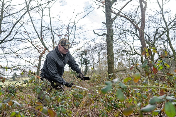 Gamekeeper managing woodland