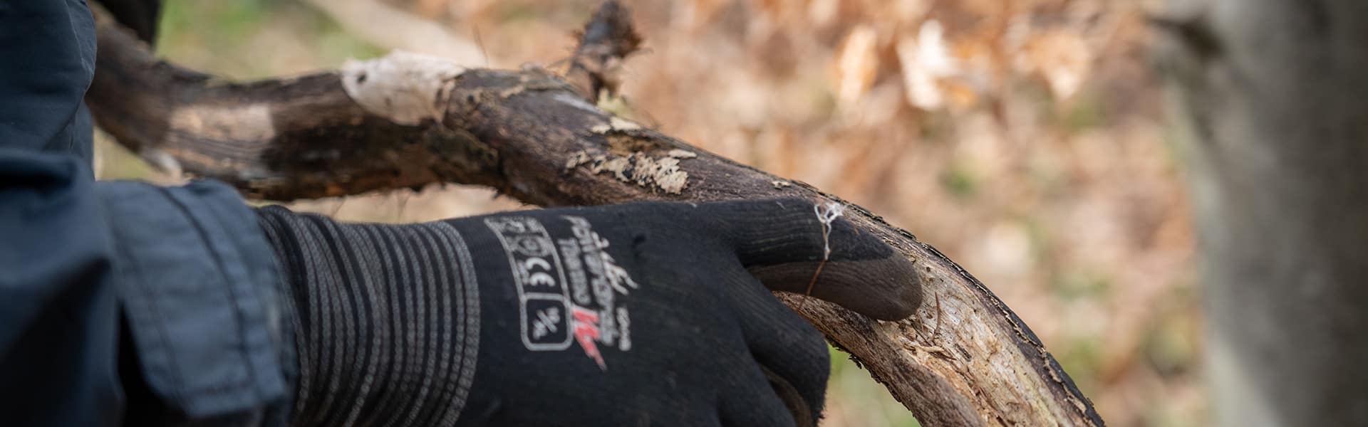A close up of a gamekeeper analysing a branch