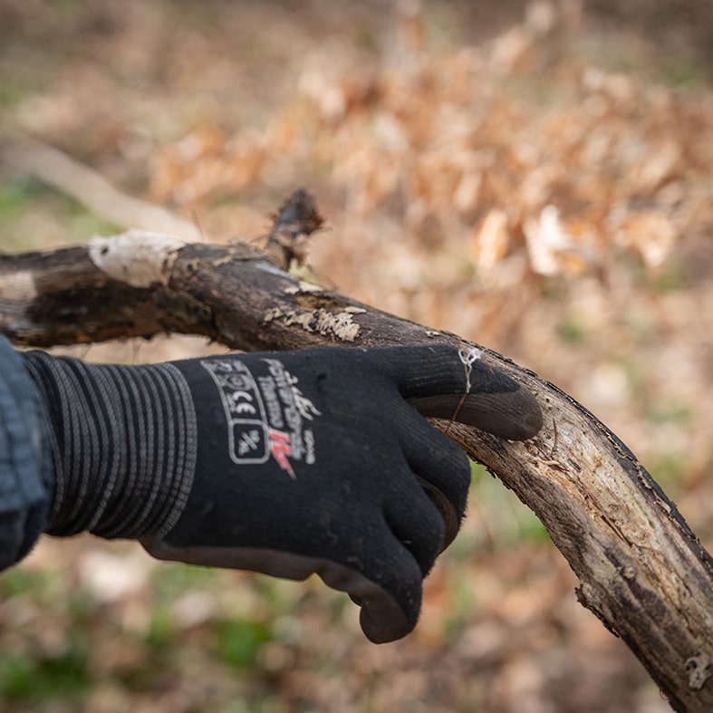A close up of a gamekeeper analysing a branch