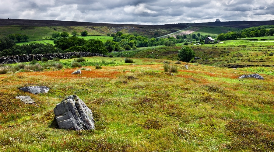 A countryside landscape