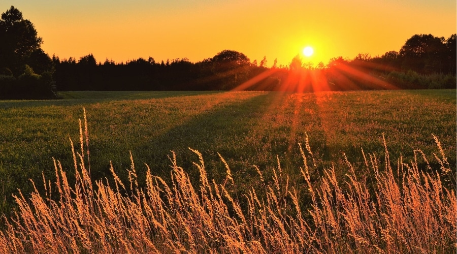 A countryside landscape at sunset