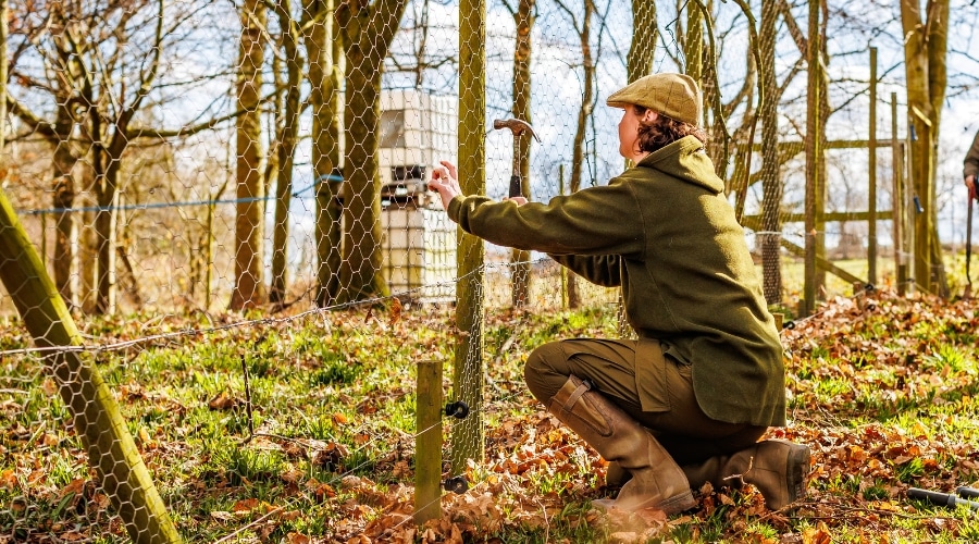 A gamekeeper repairing a pen