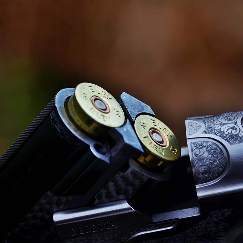 A close up of a shotgun barrel loaded with two cartridges