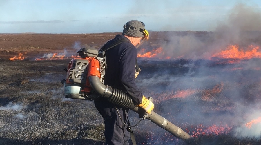 A controlled burning