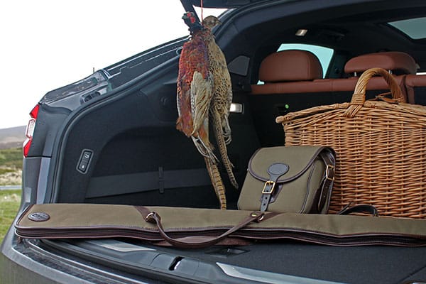 Guns in vehicle