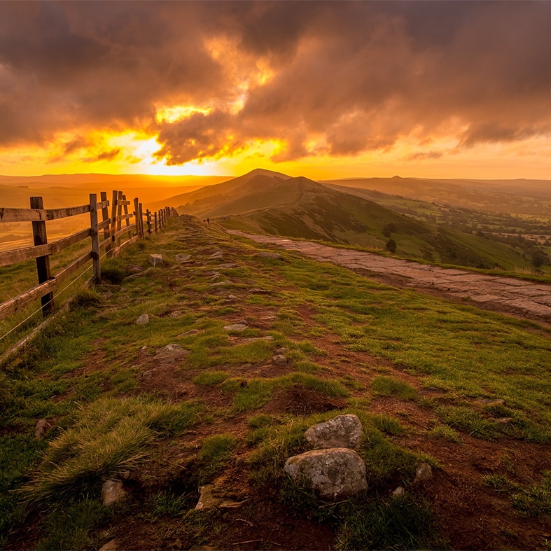 Hillside landscape