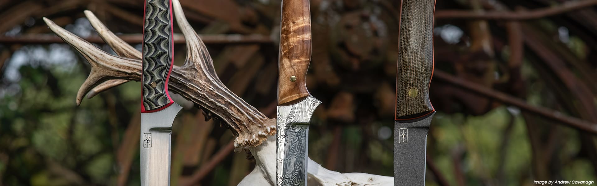 Three knives impaled into a log standing up straight