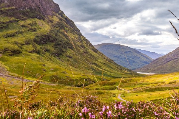 Countryside landscape