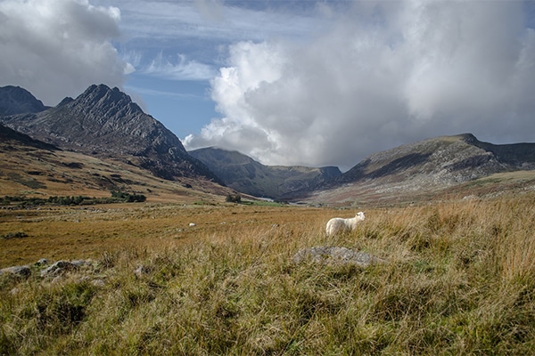 Welsh mountains and countryside