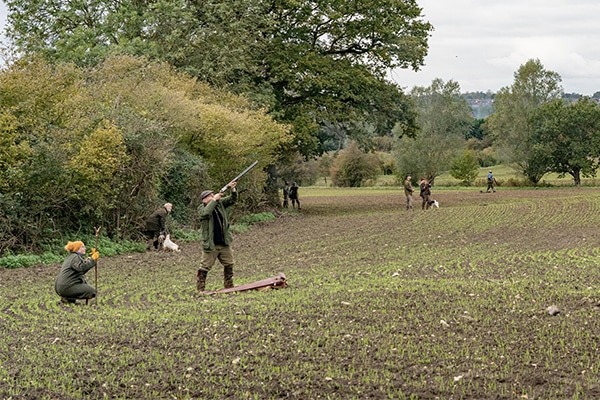 Game shooters in a field aiming with their shotguns