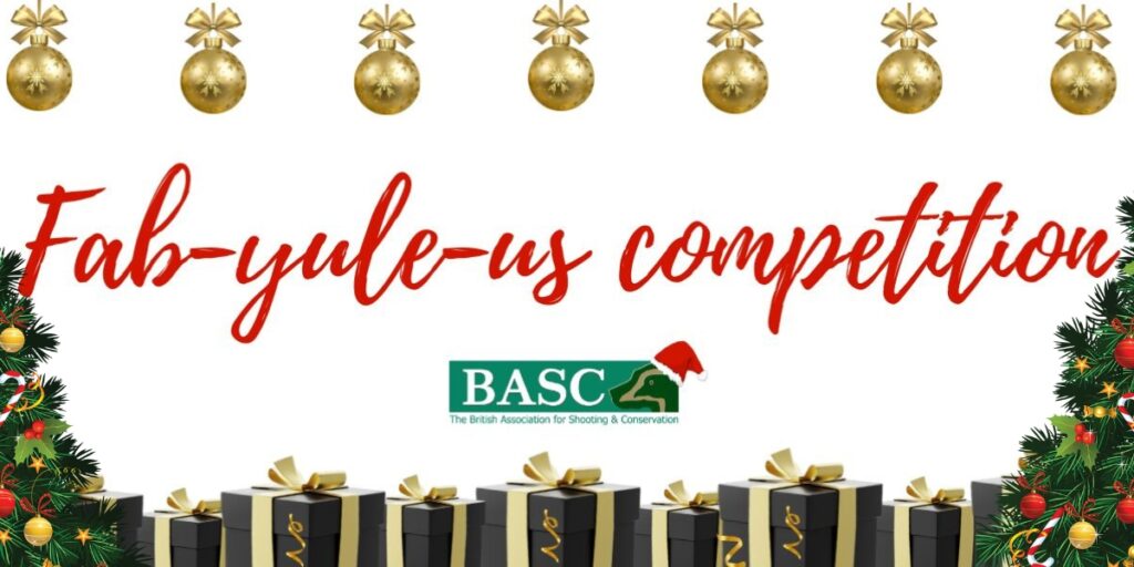 fab-yule-us graphic