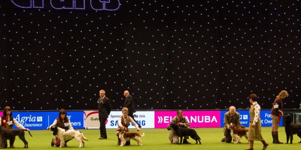 Crufts show