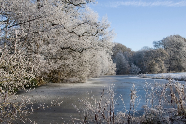 frozen river