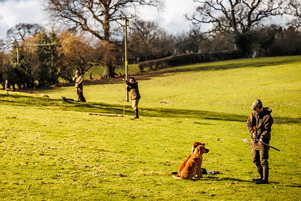 A game shooter in a field with their two gundogs