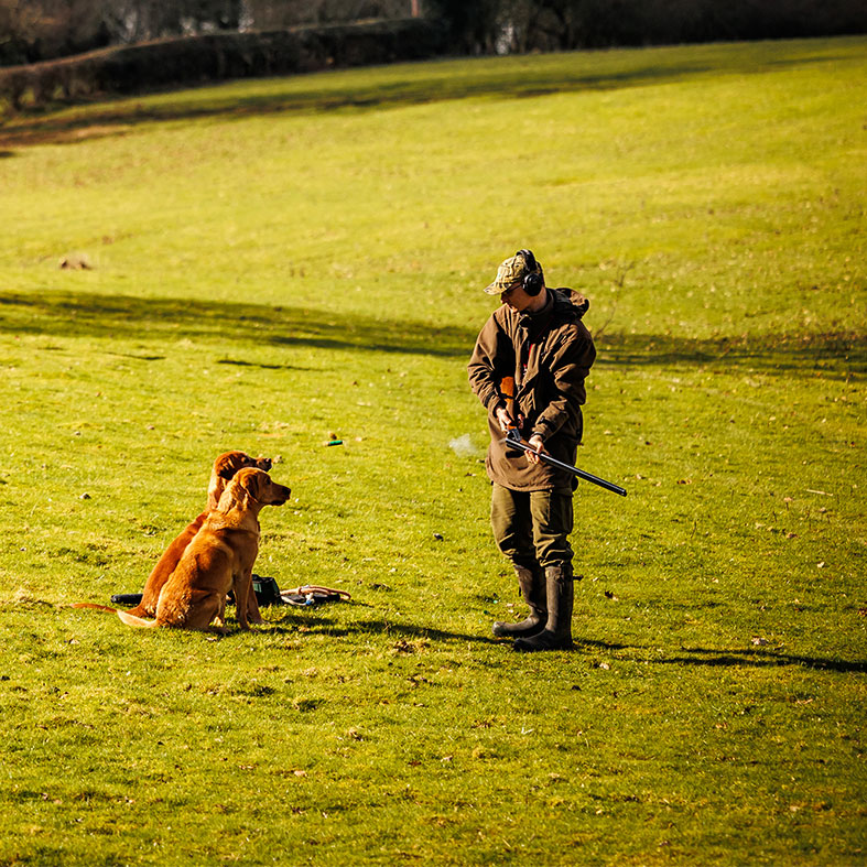 A game shooter in a field with their two gundogs