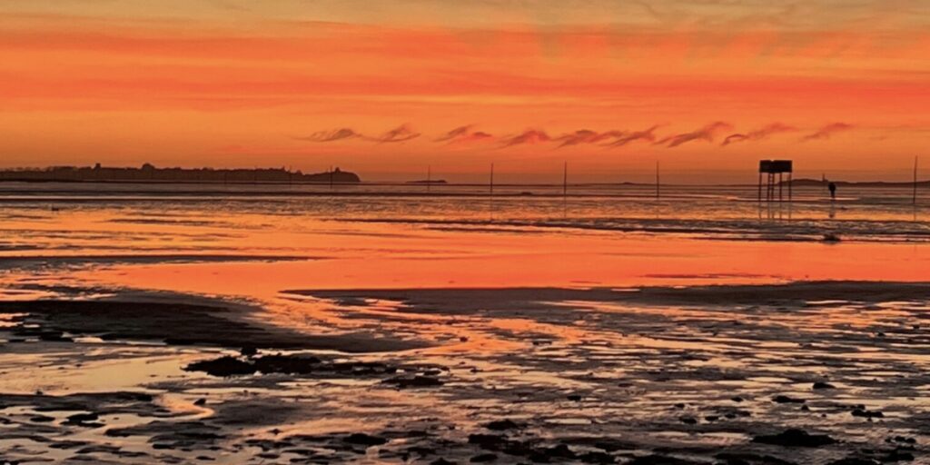 Lindisfarne mudflats