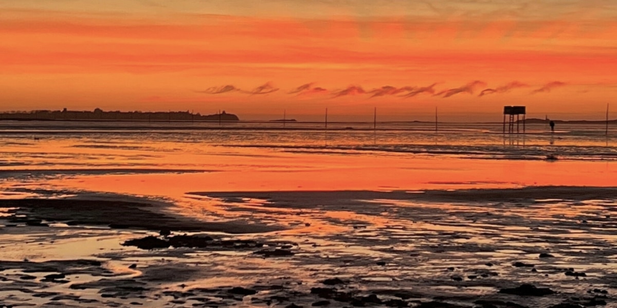 Lindisfarne mudflats