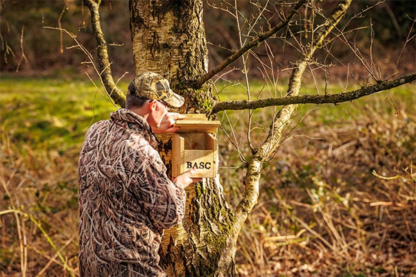 A conservationist installing a BASC bird box