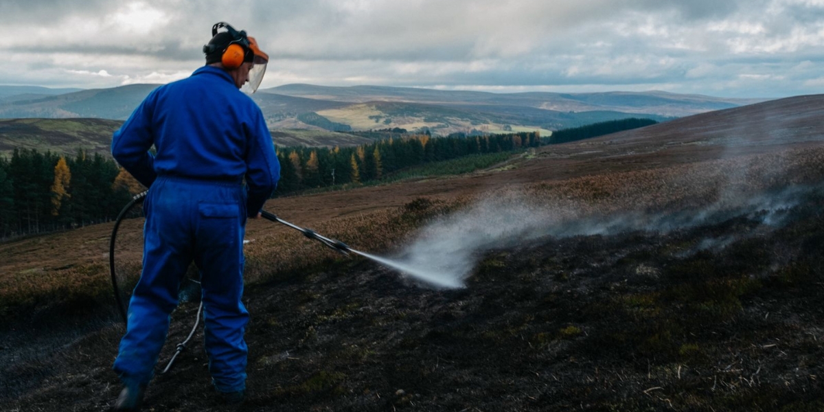 muirburn