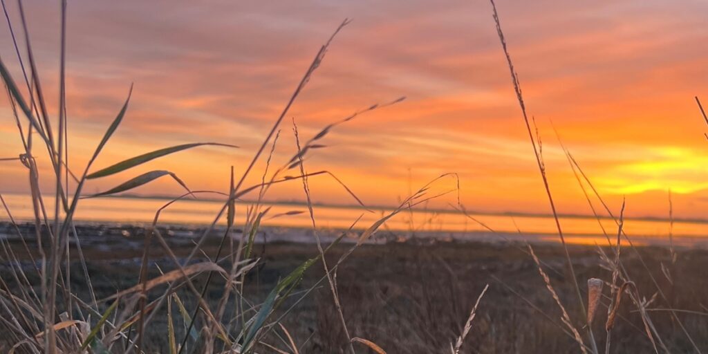 Sunset over the foreshore