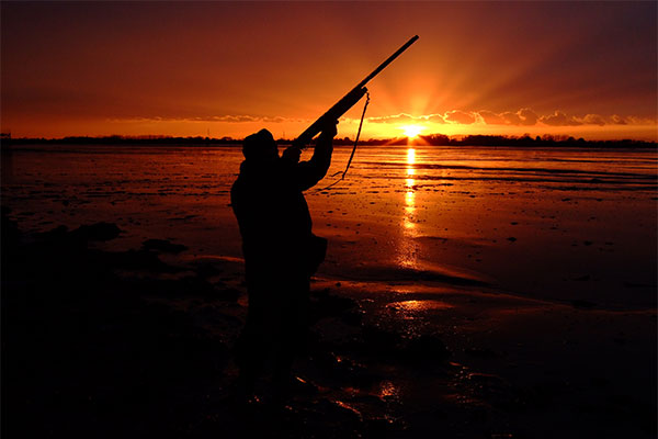 A wildfowler aiming a shotgun at sunset