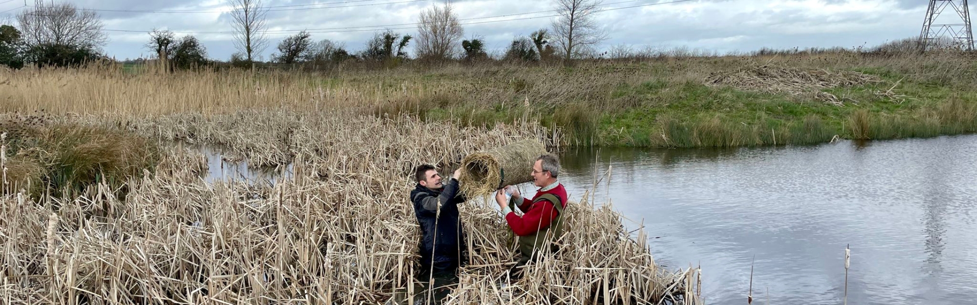 BBWA duck nest installation