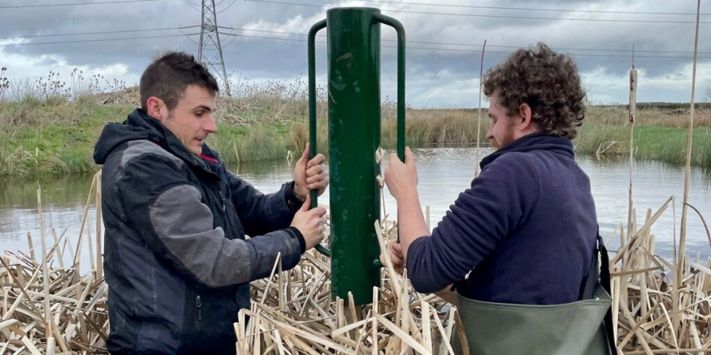 BBWA duck nests project