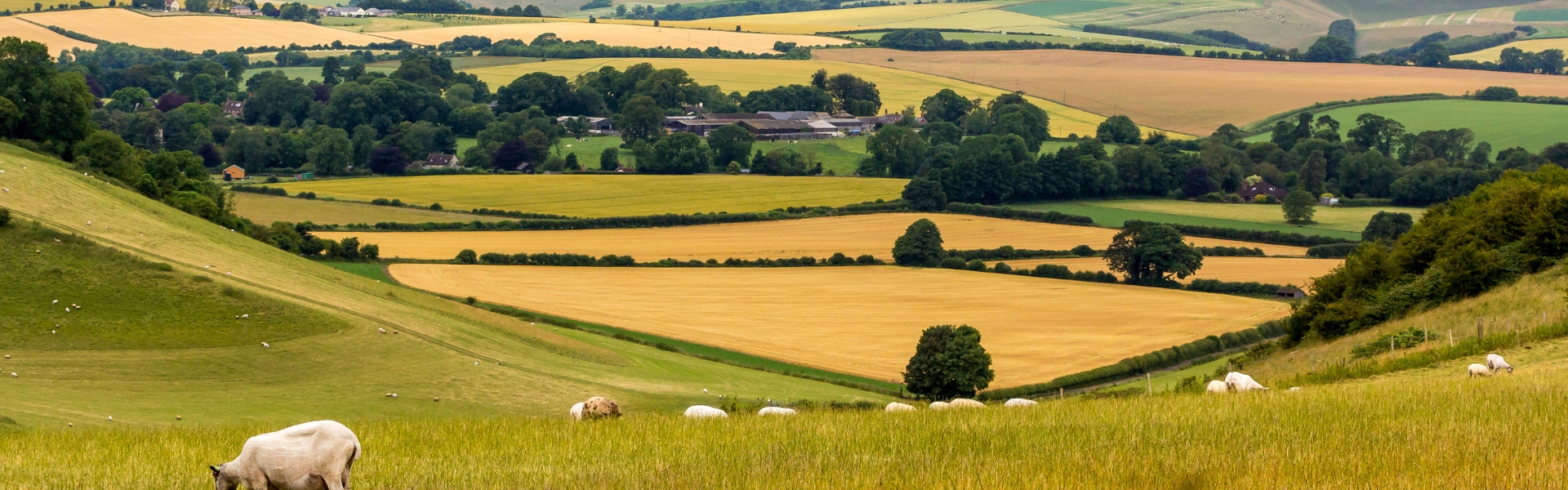 british countryside