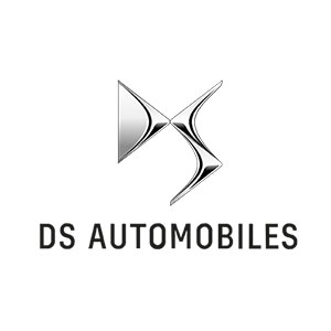 DS logo
