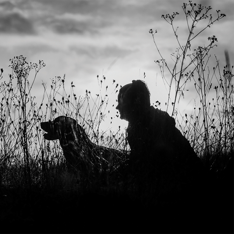 Close up of a gundog and their owner