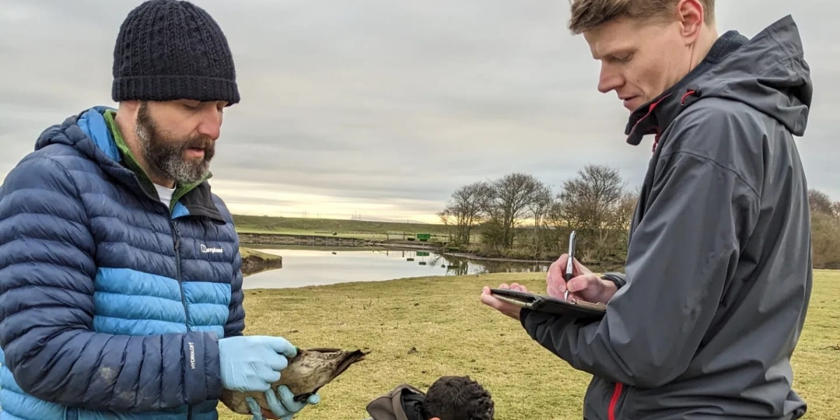 BASC research
