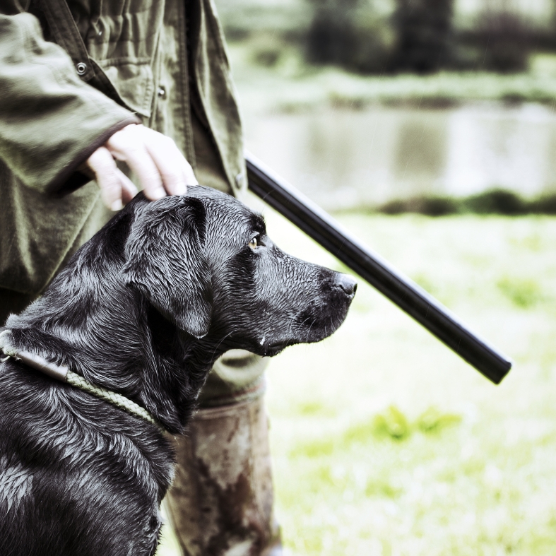 Gamekeeper