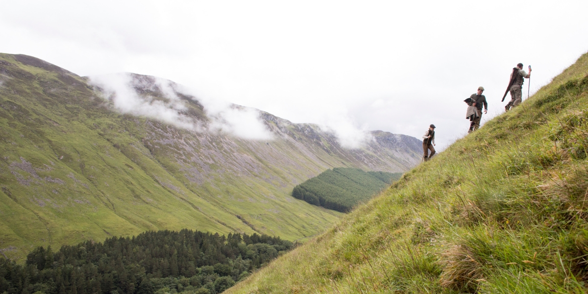 value of shooting in Scotland