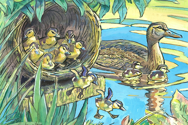 Illustration of ducks on a pond with a nest tube