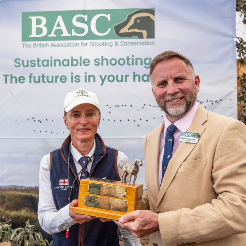 Tower bird trophy